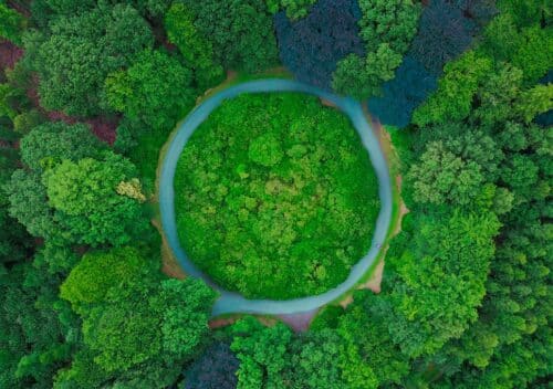 sustainability